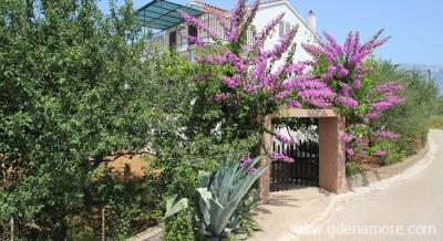 HVAR, Sucuraj: Sechs Personen f&uuml;r 66 Euro, Privatunterkunft im Ort Hvar, Kroatien